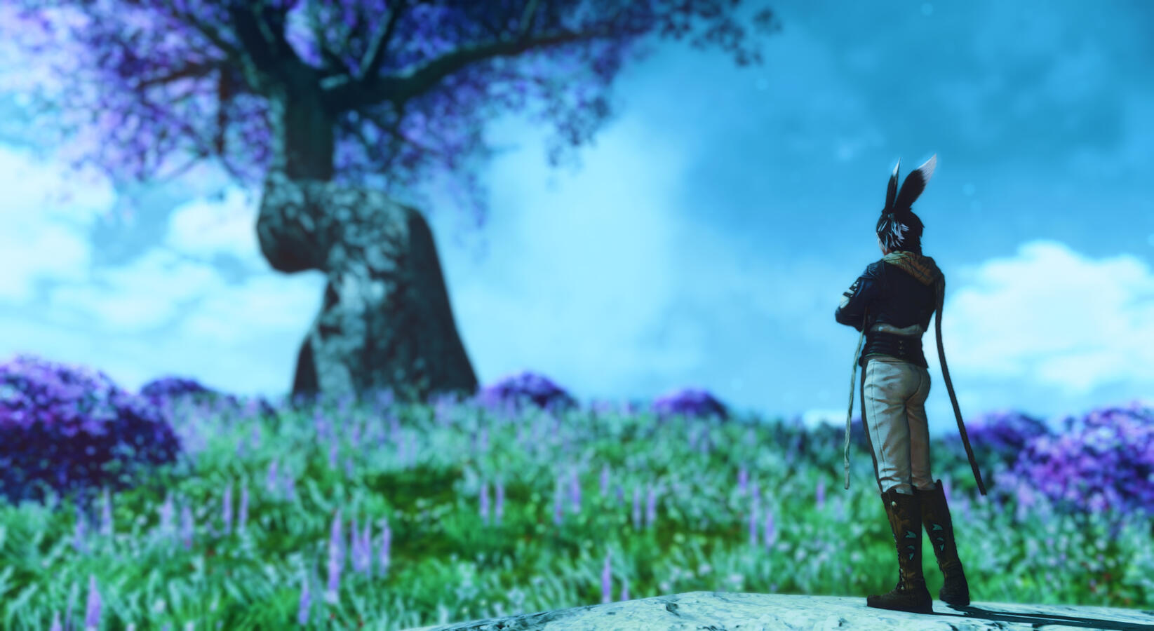 Moonlit Night